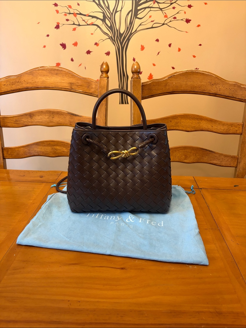 Tiffany & Fred Paris Woven Leather Top Handle Bag
